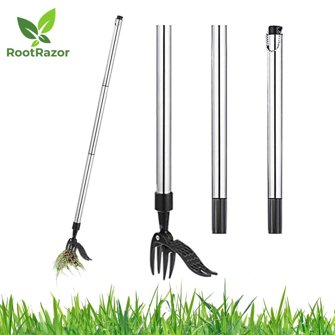 RootRazor: Extractor de malas hierbas