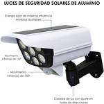 Luz Solar: Fake Cam